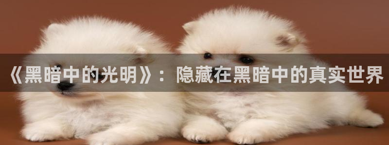 香蕉漫画免费读漫画网下拉式：《黑暗中的光明》：隐藏在黑暗中的真实世界