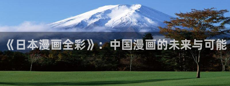 香蕉漫画免费观看：《日本漫画全彩》：中国漫画的未来与可能